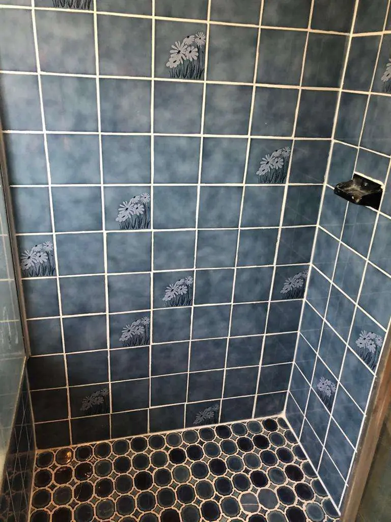 After: The same shower with the wall and floor tiling complete and the grout renewed