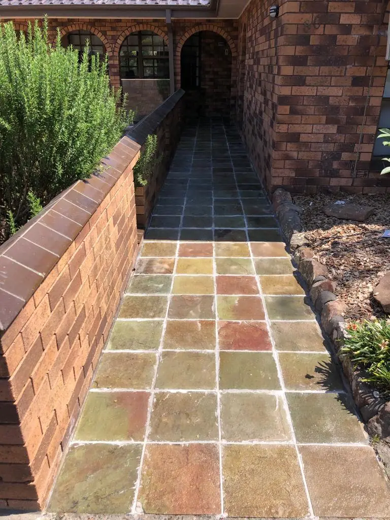 After: The same garden path cleaned and regrouted, with the tile colours restored