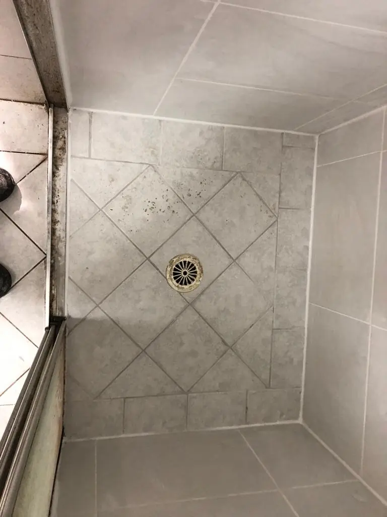 After: The same shower base with renewed grout and sealant