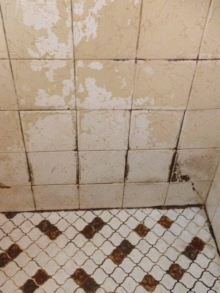 Before: Shower with a diamond-pattern mosaic floor, dark stained grout and marked wall tiles