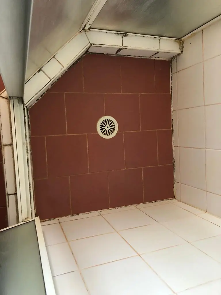 Before: Red-tiled shower with black mould in the joints and along the screen frame