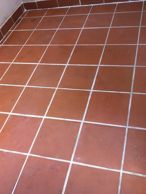 After: The same tiled area clean, with new white grout lines