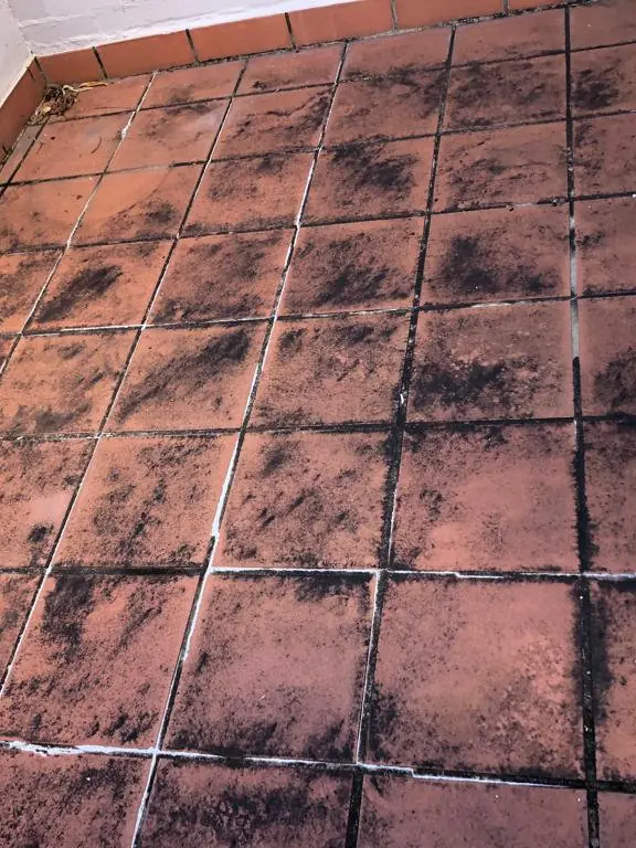 Before: Small terracotta-tiled balcony area with black mould staining on tiles and grout