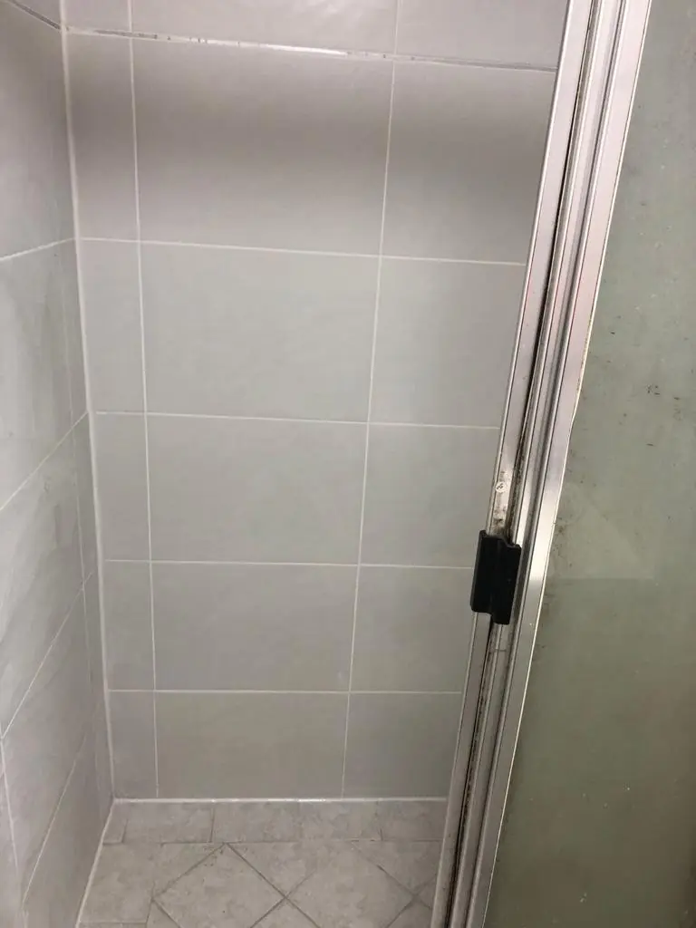 After: The same shower wall with clean white grout lines