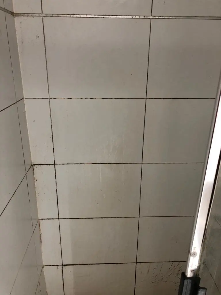 Before: White-tiled shower wall with dark mould-stained grout joints and corner